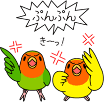 Peach-faced Lovebird "Kozakura-chi" sticker #5770120