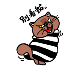 Strongest men and women! No.1 sticker #5770605