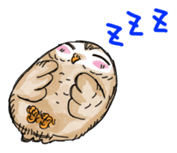 A little cute OWL sticker #5771745