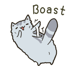 Chinchilla cat talk talk sticker #5771825