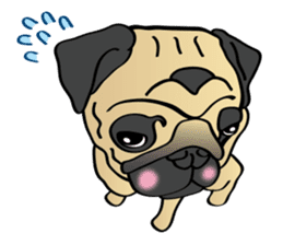 Bad dog Chloe's pug life sticker #5773327