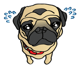 Bad dog Chloe's pug life sticker #5773331