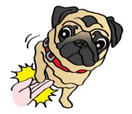 Bad dog Chloe's pug life sticker #5773345
