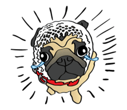 Bad dog Chloe's pug life sticker #5773353