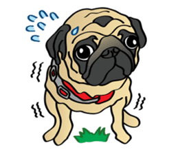 Bad dog Chloe's pug life sticker #5773356