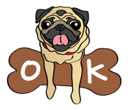 Bad dog Chloe's pug life sticker #5773362