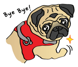 Bad dog Chloe's pug life sticker #5773363