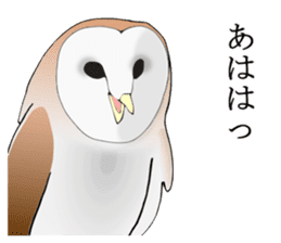 Scary cute barn owl sticker #5774767