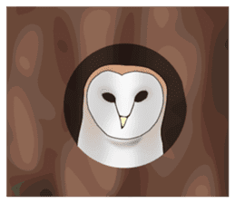Scary cute barn owl sticker #5774768