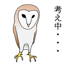 Scary cute barn owl sticker #5774769