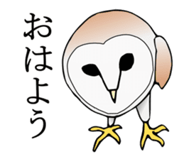 Scary cute barn owl sticker #5774774