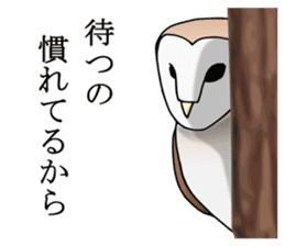 Scary cute barn owl sticker #5774778