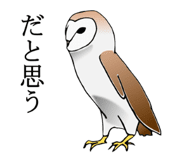 Scary cute barn owl sticker #5774780