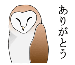 Scary cute barn owl sticker #5774789