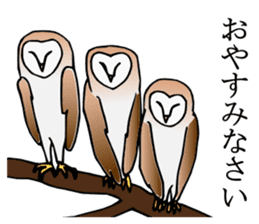 Scary cute barn owl sticker #5774792
