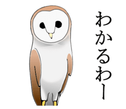 Scary cute barn owl sticker #5774795