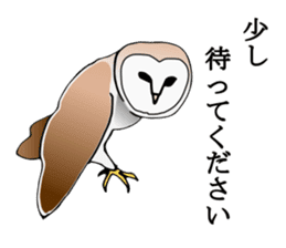 Scary cute barn owl sticker #5774797