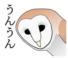 Scary cute barn owl sticker #5774799