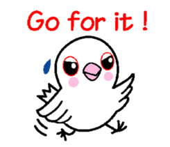 A funny java sparrow. sticker #5775688