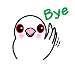 A funny java sparrow. sticker #5775698