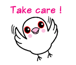 A funny java sparrow. sticker #5775699
