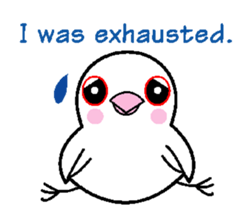 A funny java sparrow. sticker #5775700