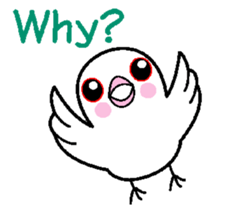 A funny java sparrow. sticker #5775701