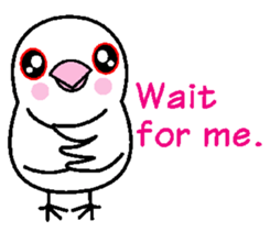 A funny java sparrow. sticker #5775704