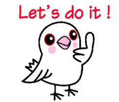 A funny java sparrow. sticker #5775717