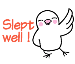 A funny java sparrow. sticker #5775720