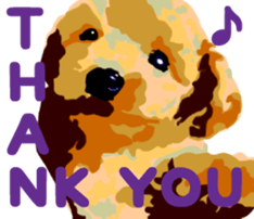 Jump Out! Toy Poodle(English ver.) sticker #5777088