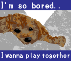 Jump Out! Toy Poodle(English ver.) sticker #5777091