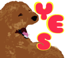 Jump Out! Toy Poodle(English ver.) sticker #5777093