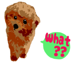 Jump Out! Toy Poodle(English ver.) sticker #5777099