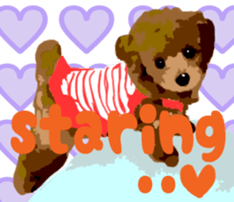 Jump Out! Toy Poodle(English ver.) sticker #5777106