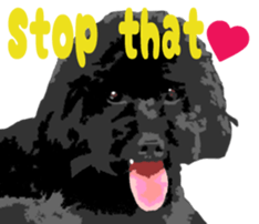 Jump Out! Toy Poodle(English ver.) sticker #5777136