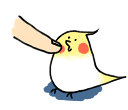 cockatiel and Java sparrow(surreal) sticker #5778275
