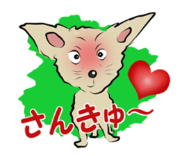 homeless cats and dogs sticker #5781608