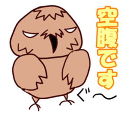 Eastern Screech Owl[MIKADUKI] sticker #5781656