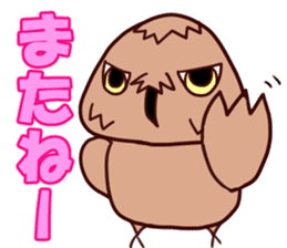 Eastern Screech Owl[MIKADUKI] sticker #5781670