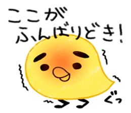 Yellow birds with thick eyebrows sticker #5782628