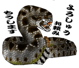 Diamondbacks sticker #5783452