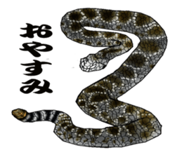 Diamondbacks sticker #5783454