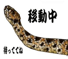 Diamondbacks sticker #5783455