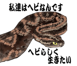 Diamondbacks sticker #5783458