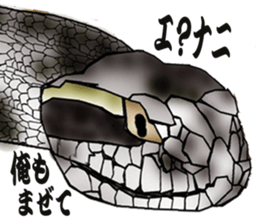 Diamondbacks sticker #5783459