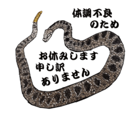 Diamondbacks sticker #5783460