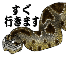 Diamondbacks sticker #5783462