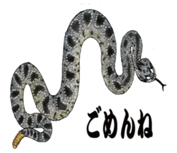 Diamondbacks sticker #5783464