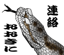 Diamondbacks sticker #5783466